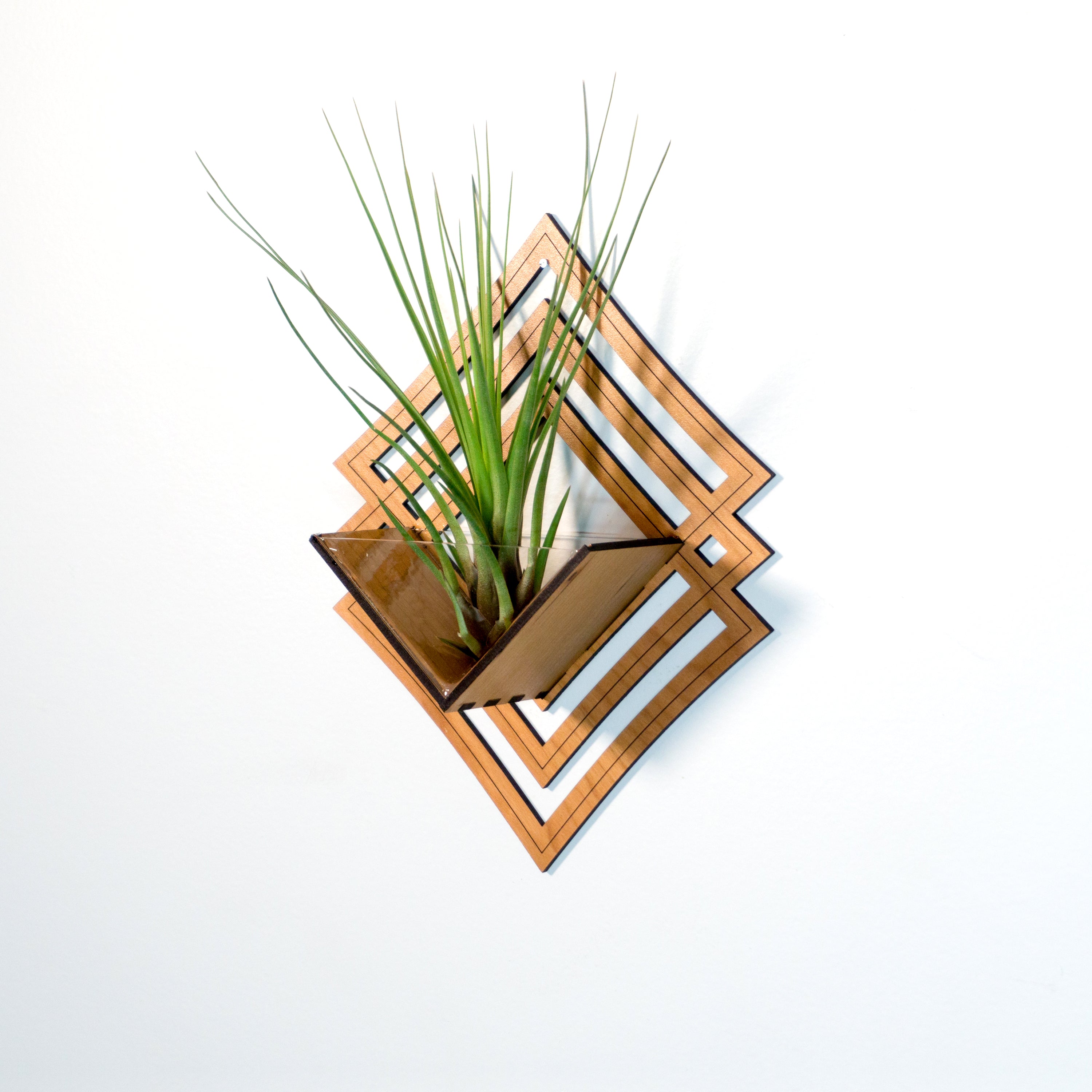 air plant holder for wall Wall Hanging Planter 6