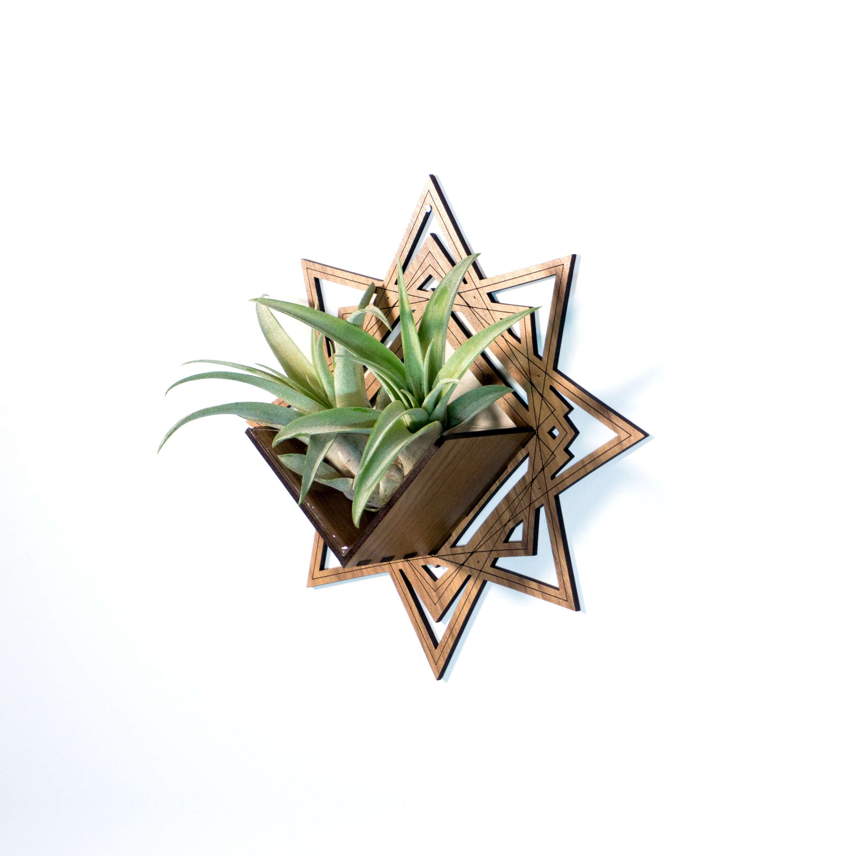 wood air plant wall hanging Wall Hanging Planter 8