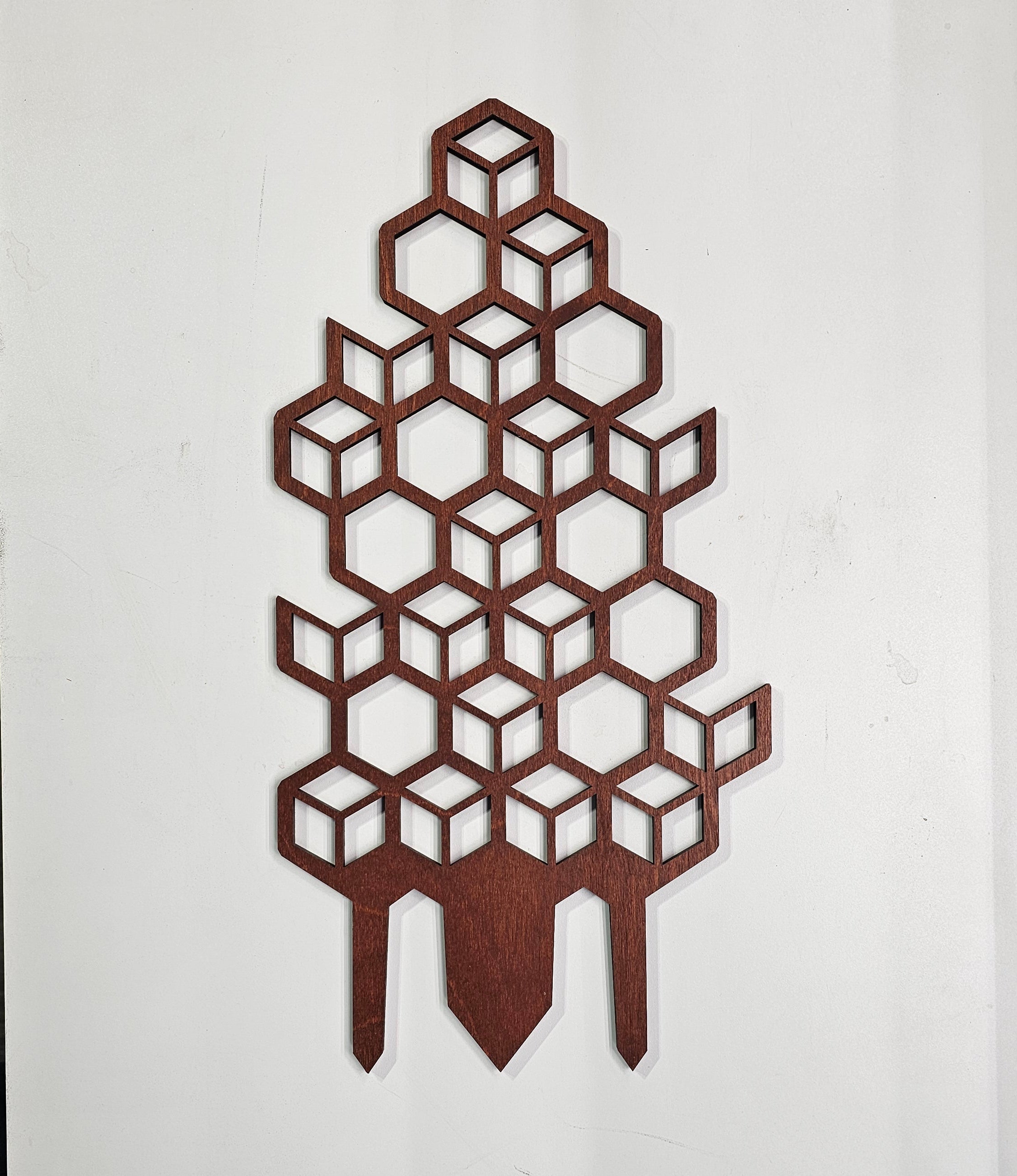 Trellis v1 Honeycomb - Medium / assorted colors – terraplanted