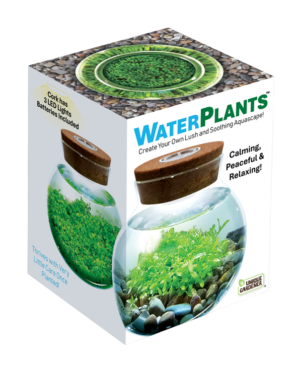 Water Plants Grow Kit