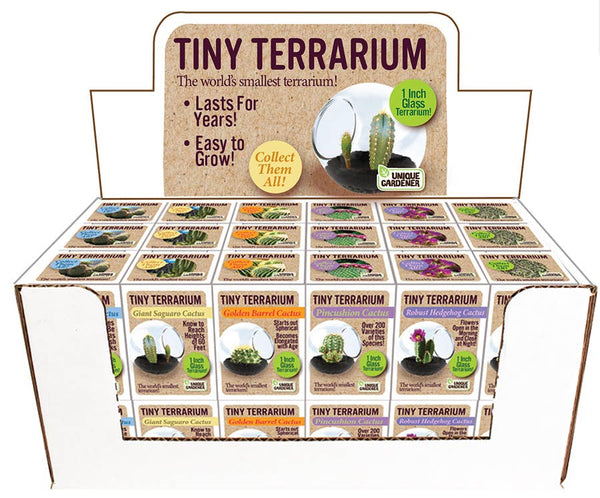 Tiny Terrarium Cactus Counter Display with 9 Varieties