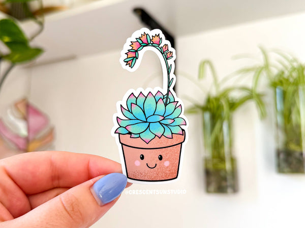 Echeveria Succulent Sticker, Plant Lover Sticker