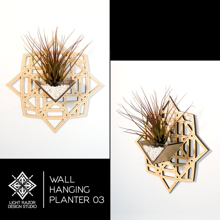 air plant wall mount Wall Hanging Planter 3