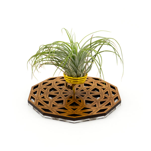 Wire Air Plant Holder 4 - Unique Plant Display Stand // Geometric Modern Wood Home Decor Table Shelf Desk Plant Lover Gift Idea