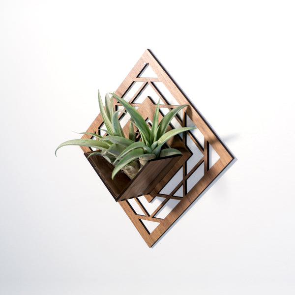 Wall Hanging Planter 2 / Air Plant Holder - Mounted Display Hanger // Handmade Wood Wall Home Decor Plant Lover Gift Idea