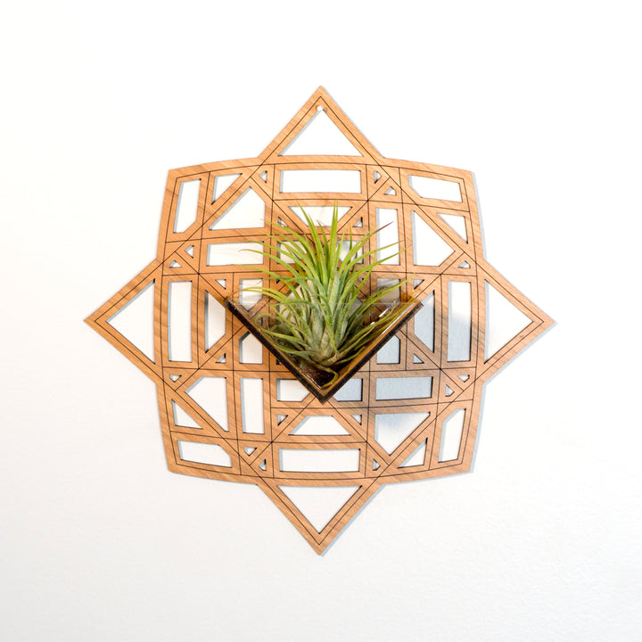 triangle air plant holder Wall Hanging Planter 3