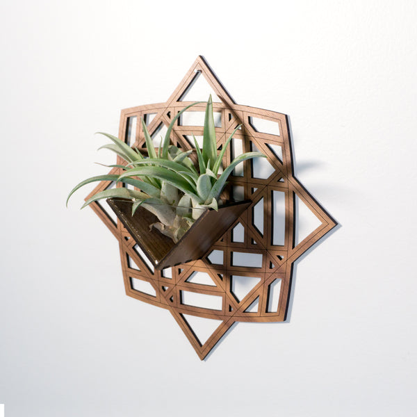 Wall Hanging Planter 3 / Air Plant Holder - Mounted Display Hanger // Handmade Geometric Wood Wall Home Decor Plant Lover Gift Idea Star