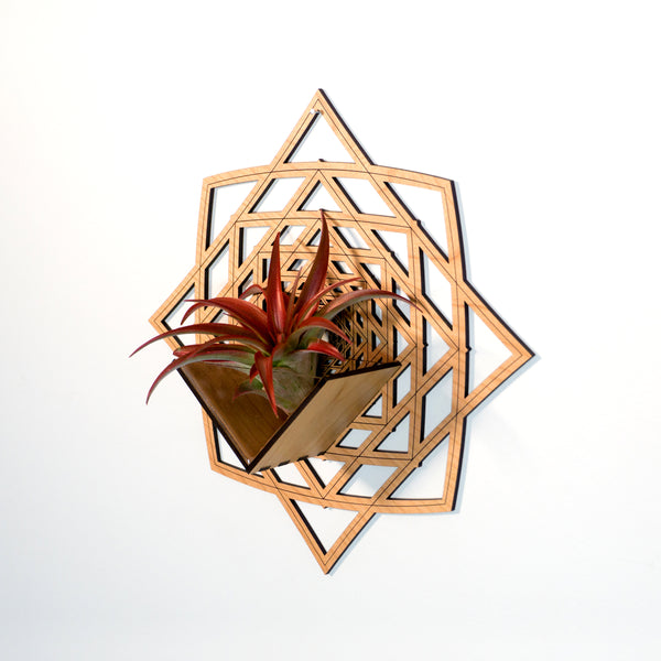 Wall Hanging Planter 4 / Air Plant Holder - Mounted Display Hanger // Handmade Wood Wall Home Decor Plant Lover Gift Idea Star