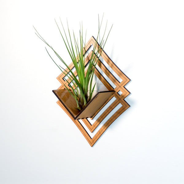 Wall Hanging Planter 6 / Air Plant Holder - Mounted Display Hanger // Handmade Modern Wood Wall Home Decor Plant Lover Gift Idea Living Art