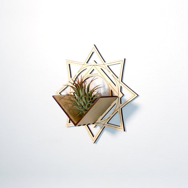 Wall Hanging Planter 7 / Air Plant Holder - Mounted Display Plant Hanger // Handmade Wood Wall Home Decor Plant Lover Gift Idea Star Art