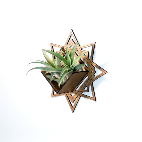 Wall Hanging Planter 8 / Air Plant Holder - Mounted Display Plant Hanger // Handmade Wood Wall Home Decor Plant Lover Gift Idea Star Living Art