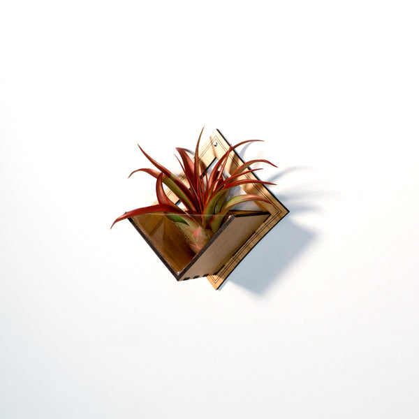 Wall Hanging Planter 9 / Air Plant Holder - Mounted Display Plant Hanger // Handmade Wood Home Decor Plant Lover Gift Idea Living Wall Art